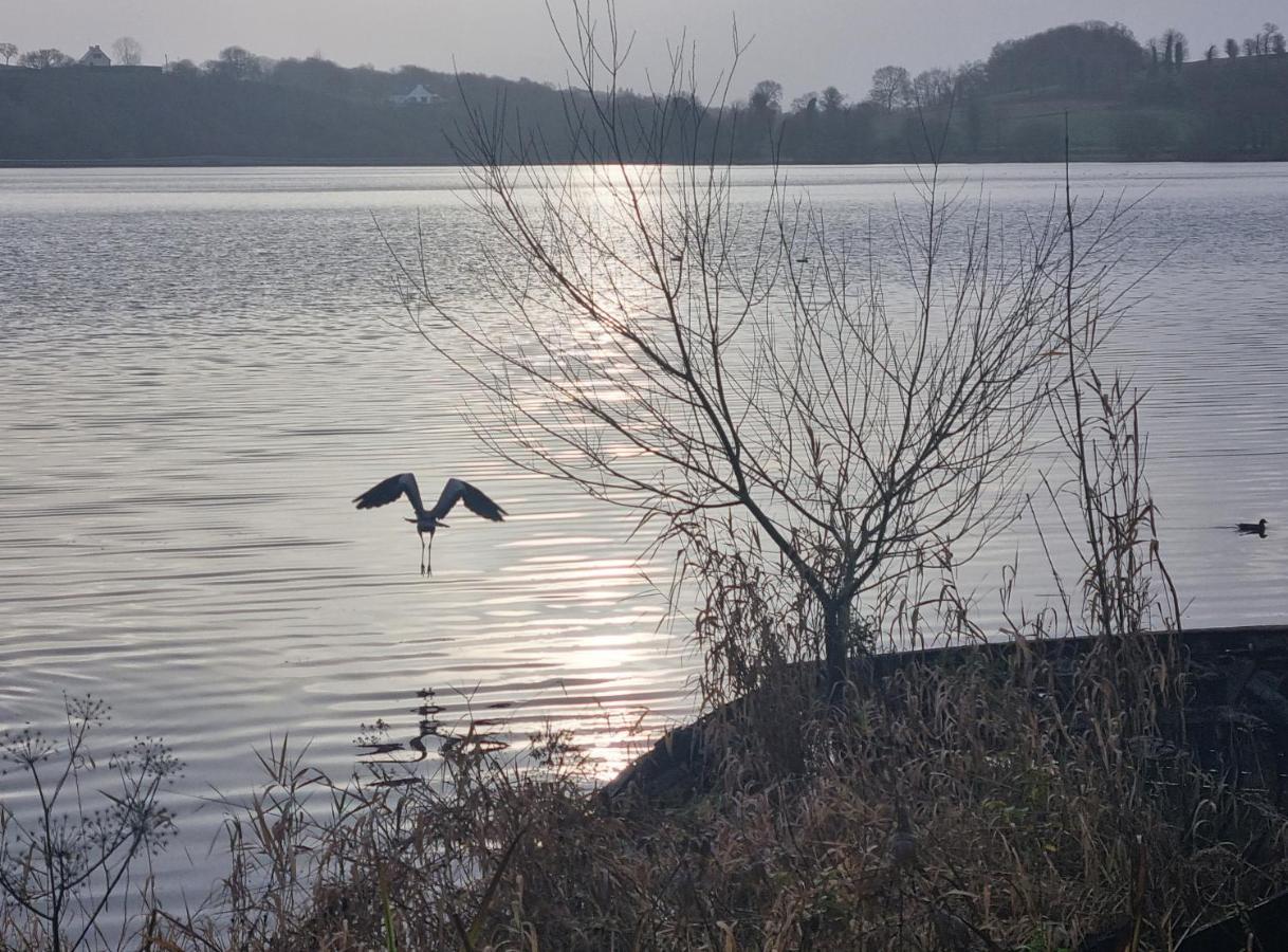 Les Forges Du Lou Appartement Jugon-les-Lacs Buitenkant foto