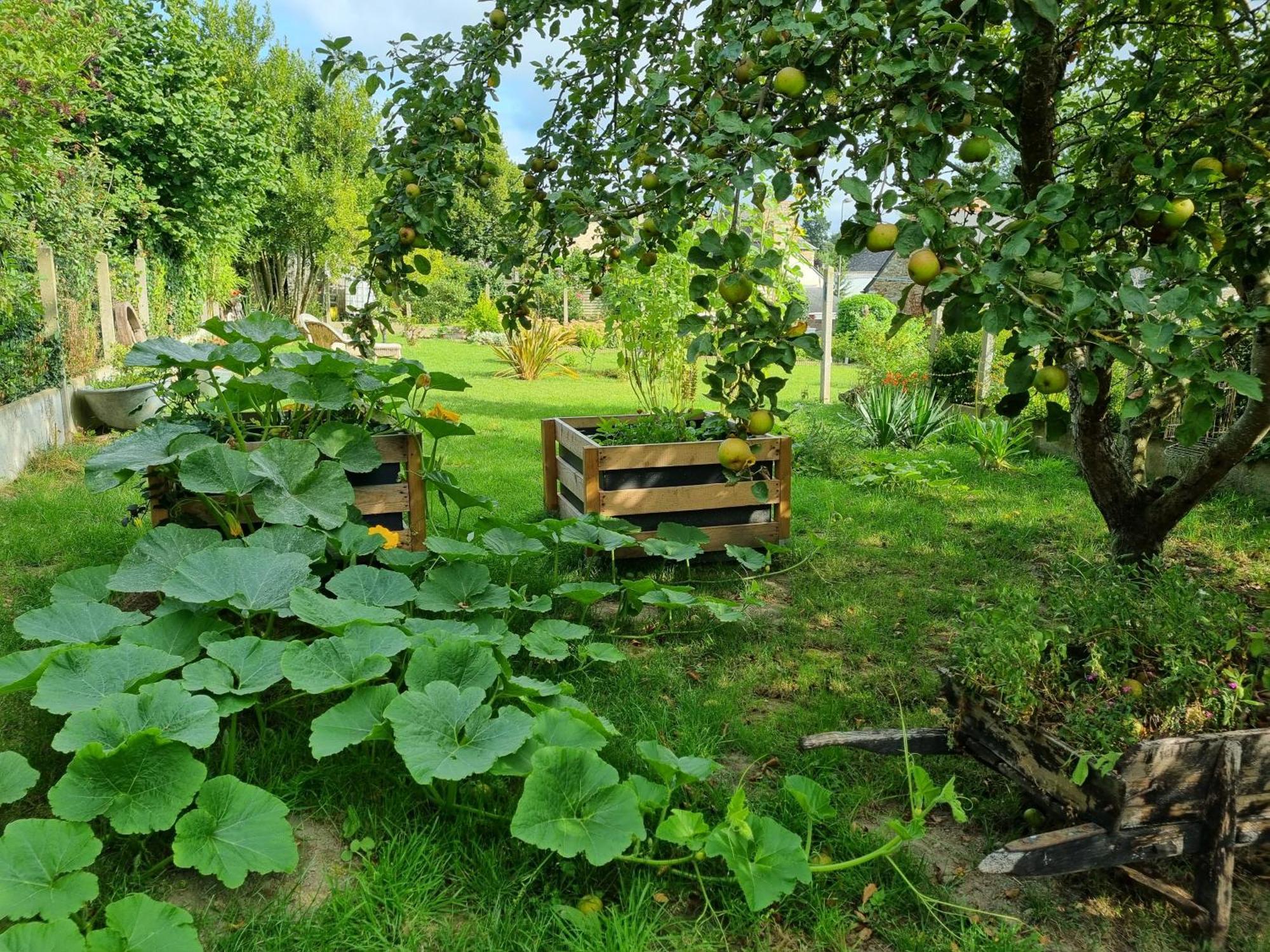 Les Forges Du Lou Appartement Jugon-les-Lacs Buitenkant foto